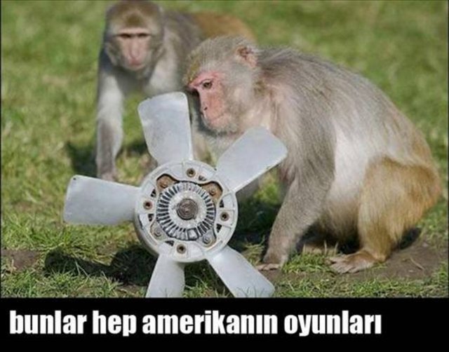 877136080ed1d290343286601add1918_k.jpg