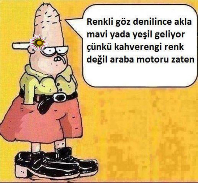 6f3893a9ab68105c06c6b8af4980c82a_k.jpg