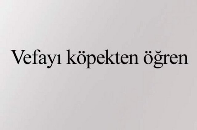 1edb9d34b0fe0a57d1dc0d9a2d7ad497_k.jpg