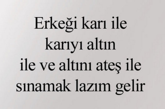 2e549bde5f79a1c9bf9ab8e439b1dfad_k.jpg