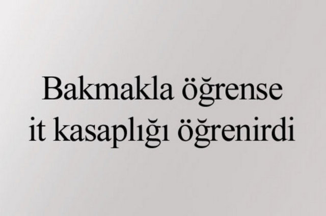 aa6b9c68dbfc31f35b07773fcb988cd8_k.jpg