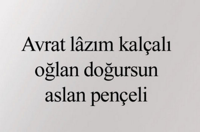 dfd0d709200c4744ba150932acdbacff_k.jpg