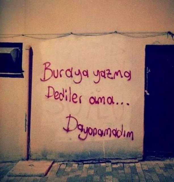 Liselilerden yaratıcı sınıf isimleri 1 Yaşam