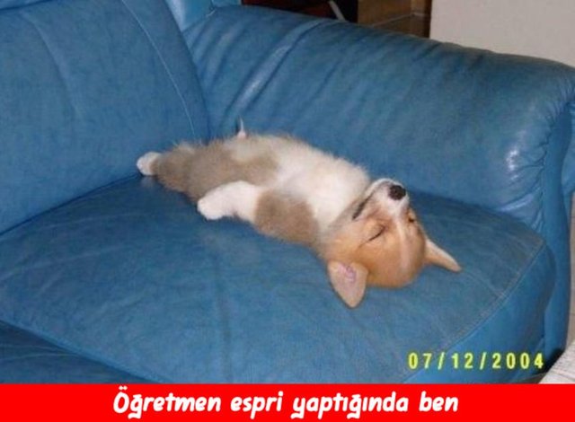 e684ca900fc602353804216accaf38b7_k.jpg