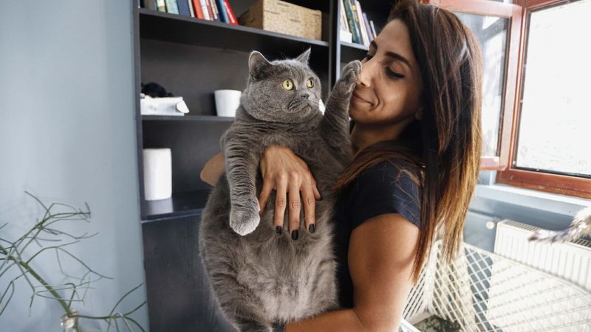 Obez Kedi Egzersiz Ile Kilo Verdi