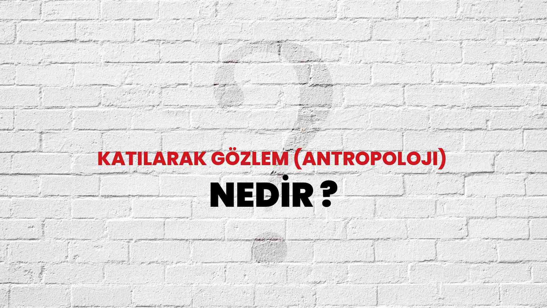 Katılarak Gözlem Antropoloji Nedir Ne Demek TÜBİTAK Ansiklopedi ile