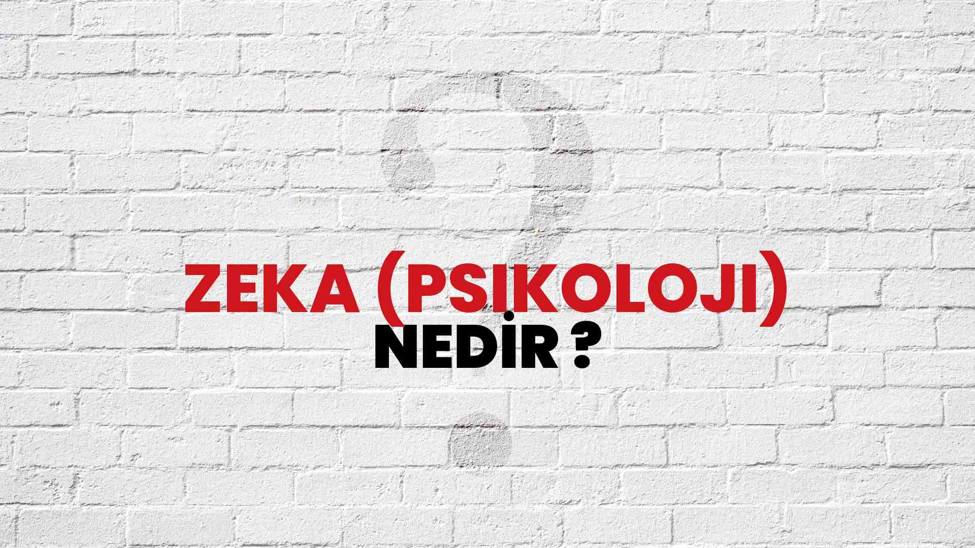 Zeka Psikoloji Nedir Ne Demek T B Tak Ansiklopedi Ile Zeka