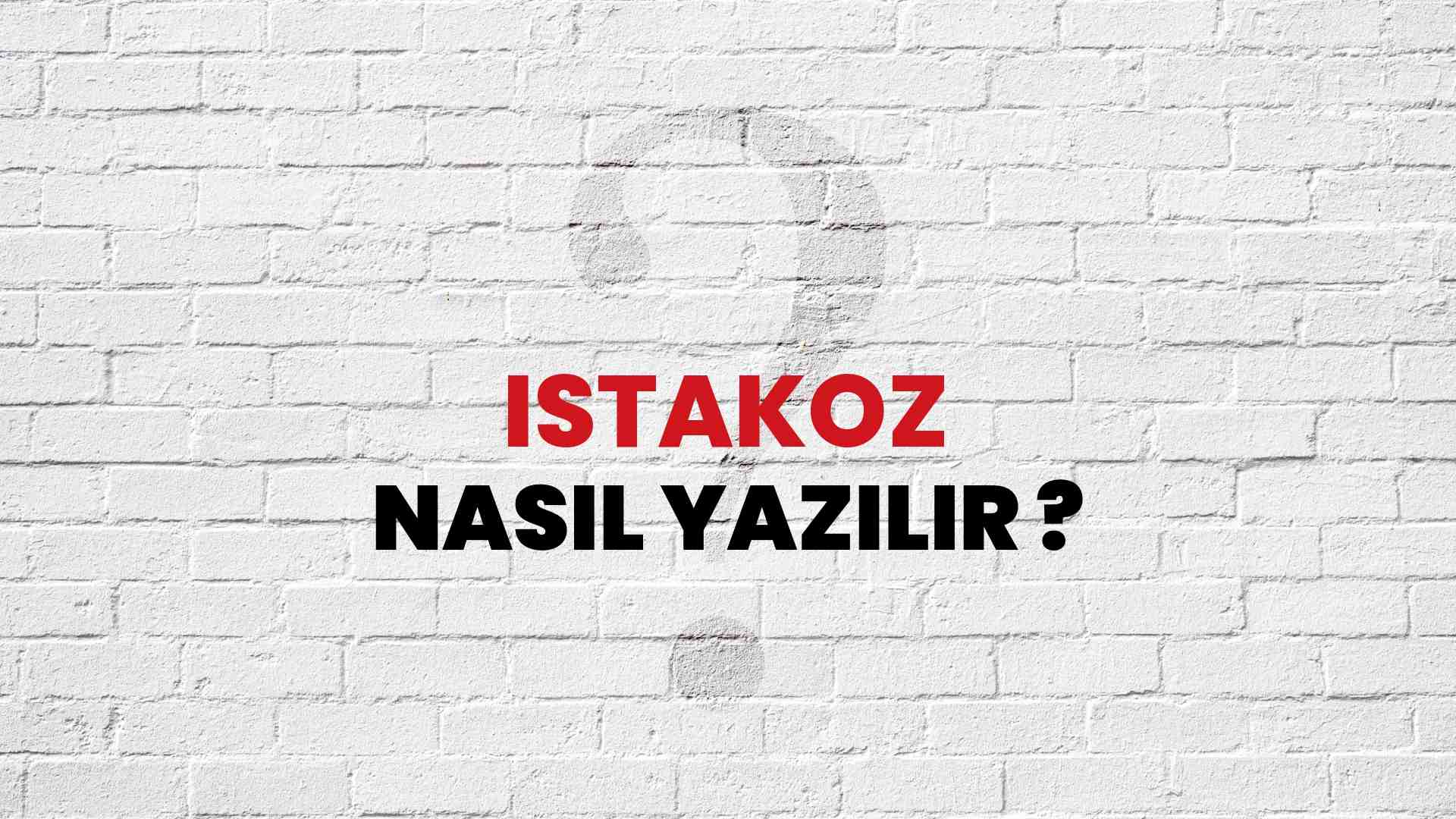 Istakoz Do Ru Yaz M Nedir Tdk Ile Istakoz Kelimesinin Do Ru Yaz L