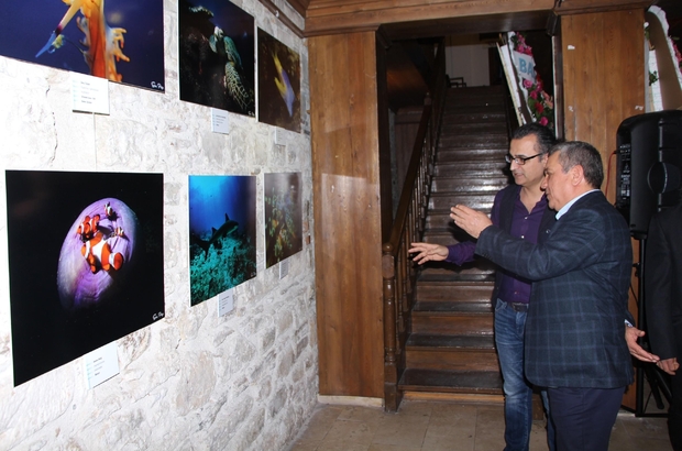 Kuşadası'nda su altı fotoğrafları sergisi açıldı