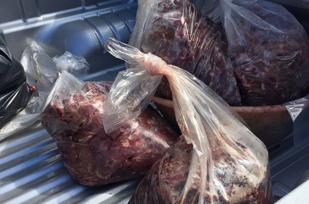 Söke'de işlenmiş 200 kilo kaçak domuz eti yakalandı