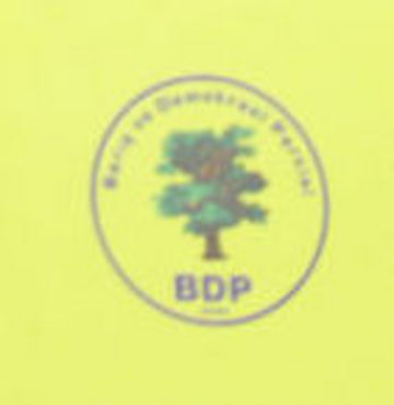 BDP maden ocakları için araştırma istedi