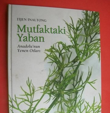 Seker Hastaligina Iyi Gelen Bitki Haberleri Guncel Seker Hastaligina Iyi Gelen Bitki Haberleri Ve Seker Hastaligina Iyi Gelen Bitki Gelismeleri