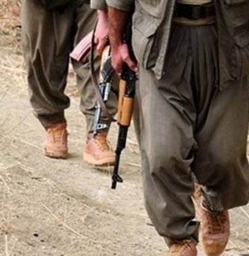 PKK'nın üst düzey yöneticisi yakalandı