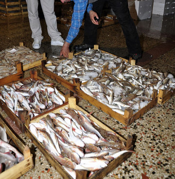 Kumkapı’da balık festivali