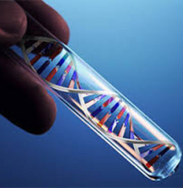 1 saatte DNA testi