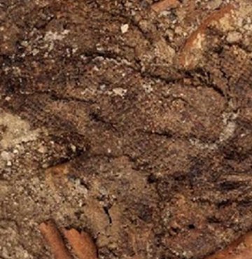 Dünyanın en eski kumaşı bulundu