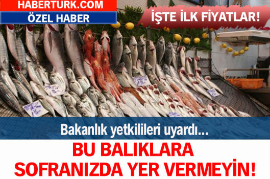 Bu balıklara sofranızda yer vermeyin!