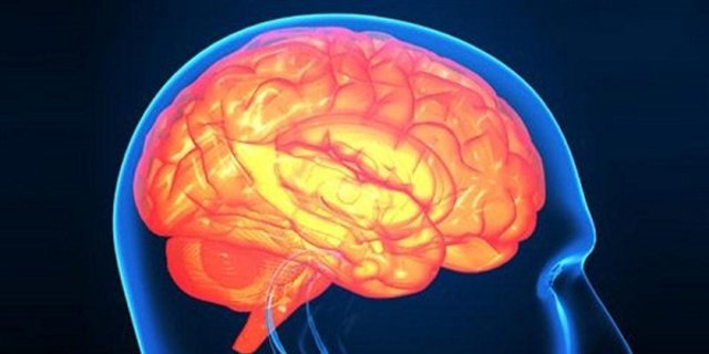 Beyin Hucrelerini Olduren 11 Neden Beyin Hucrelerine Neler Zarar Verir Beyin Hucrelerine Zarar Veren Seyler Saglik Haberleri