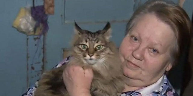 Kedi Bebegi Donmaktan Kurtardi Rusya Da Marsha Adindaki Kedi Soguktan Donmak Uzere Olan Terk Edilmis Bebegin Hayatini Kurtardi Dunya Haberleri