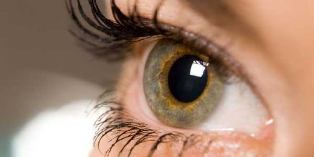 Agrisiz Gorme Kaybi Retinada Sorun Isareti Diyabetik Retinopati Retina Dekolmani Retinal Arter Tikanikliklari Retinal Ven Tikanikliklari Epiretinal Membran Goz Sagligi Ve Hastaliklari Uzmani Doc Dr Ibrahim Gokhan Gulkilik Ceyda Erenoglu Retina