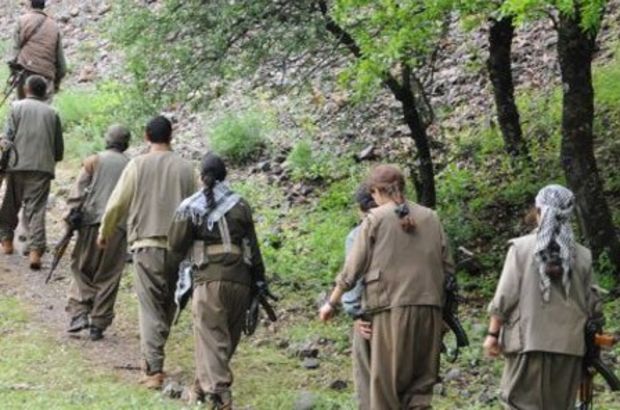 “Alman silahları PKK’nın eline geçti“