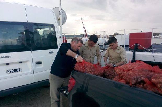 Ayvalık'ta 300 kilo kaçak akivades ele geçirildi