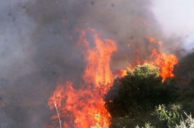 Cudi Dağı'ndaki yangını söndürme çalışmaları devam ediyor