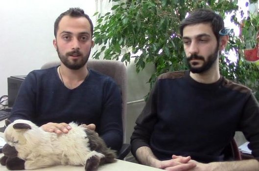 Bu kedi stresi ve depresyonu alıyor
