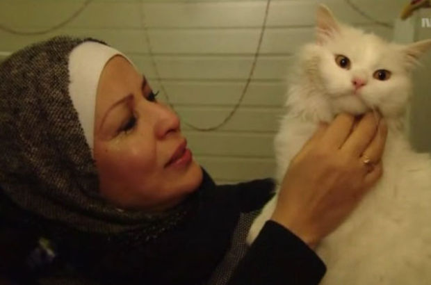 Sığınmacı kedi ailesiyle Norveç’te buluştu