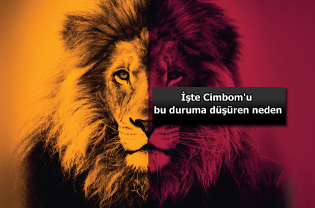bir aslan miyav dedi
