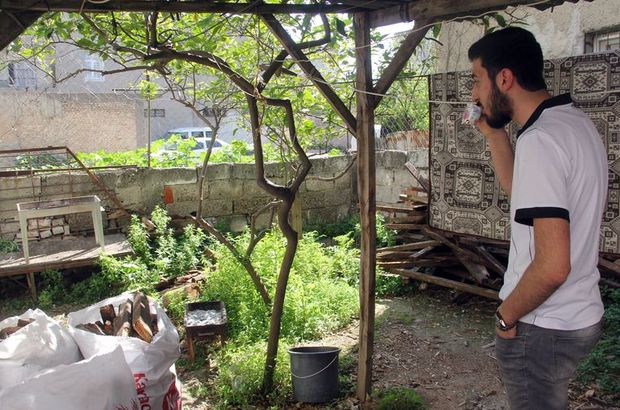 Adana'da mahallee tilki paniği