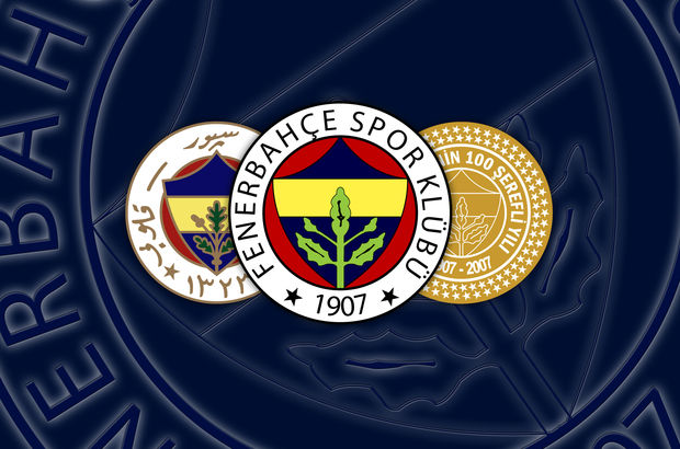 Fenerbahçede Jan Vesely 5-6 hafta yok 80