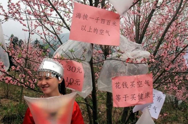 Çin'in Guangdong bölgesinde köylüler şehirlilere ‘temiz hava’ satıyor