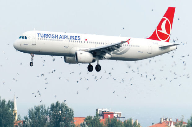 Leylek göçü Atatürk Havalimanı'nı harekete geçirdi