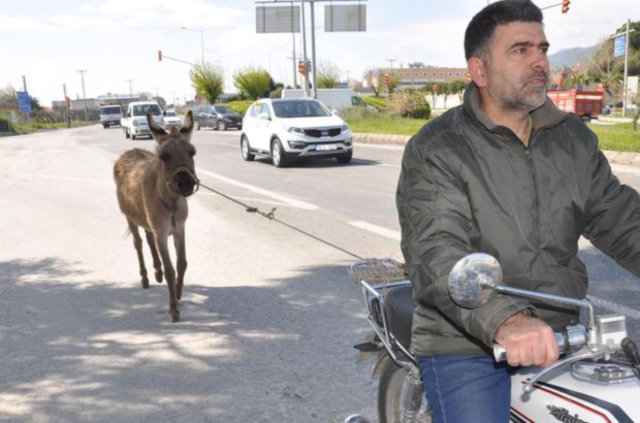Aydın'da eşeğe motosikletli eziyet