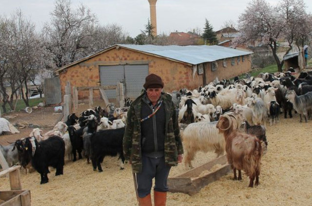 63 yaşındaki 'Üniversiteli çoban'ın okuma azmi