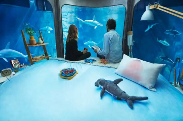 Köpekbalıklarının bulunduğu dev akvaryumda oda kiralama hizmeti açıldı