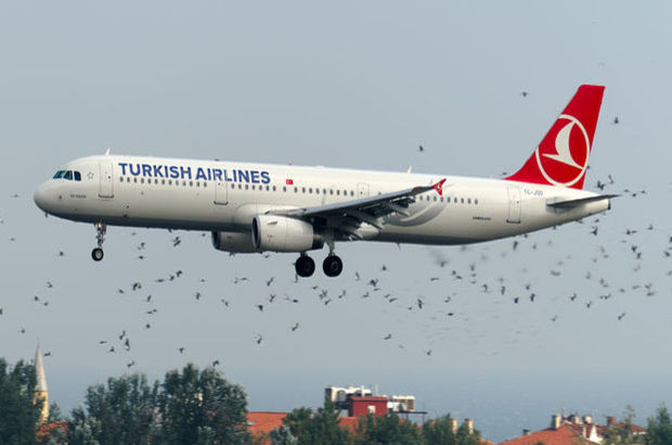 Leylek sürüleri Atatürk Havalimanı'nda hava trafiğini olumsuz etkiliyor