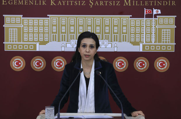 CHP'li Gülay Yedekçi: Kanal İstanbul'a izin vermeyeceğiz