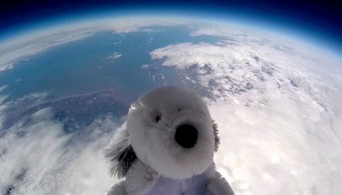 Uzayda Kaybolan Oyuncak Kopek Sam Araniyor Video Dunya Haberleri