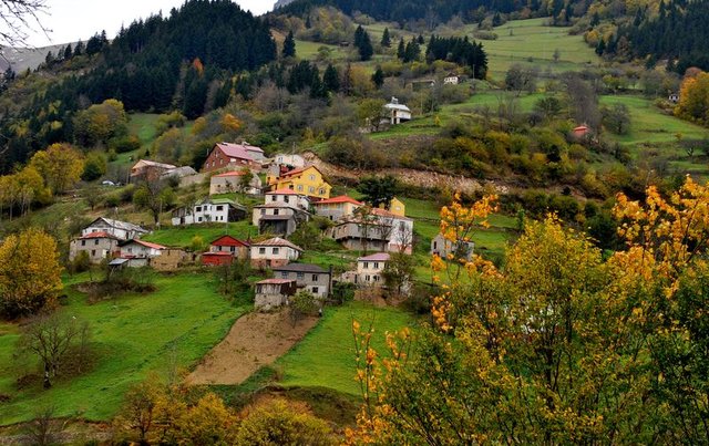 Hamsiköy'e gelen turistler hamsi yemek istiyor | Gündem ...