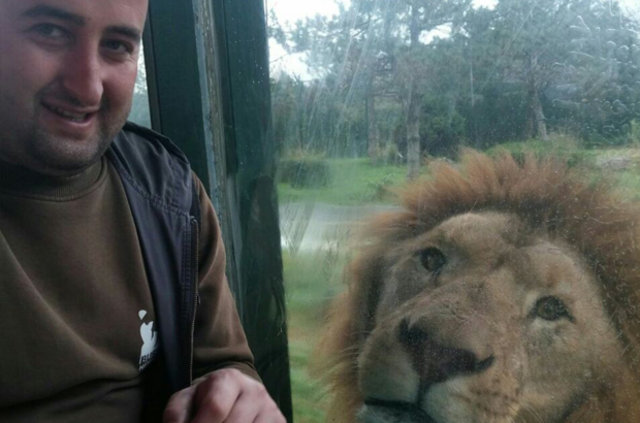 Bursa Hayvanat Bahçesi'nde aslanlar açlık testini böyle geçti