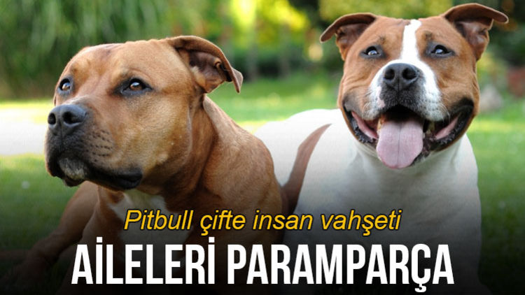 www haberturk com