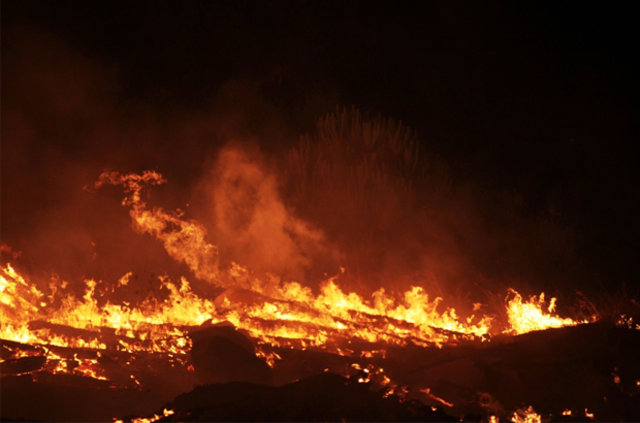 Bodrum'daki orman yangını 24 saat sonra kontrol altına alındı