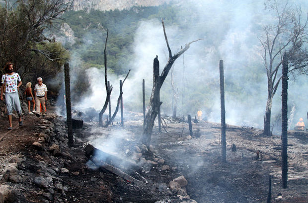 Muğla'da kamp alanında büyük yangın