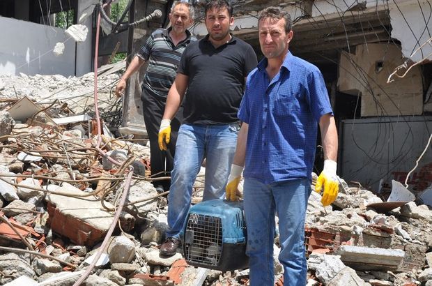 Bursa'da 10 köpek yavrusu yıkım işçisinin dikkati sayesinde kurtuldu