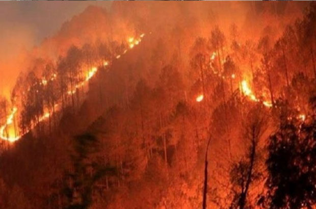Haftasonu Güney Kıbrıs'ta başlayan yangın kontrol altına alınamıyor