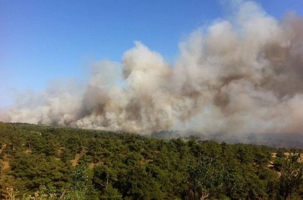 Keşan'daki orman yangını kontrol altına alınamıyor