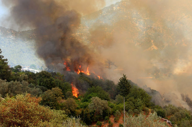 Antalya Kumluca'da yangın yeniden başladı