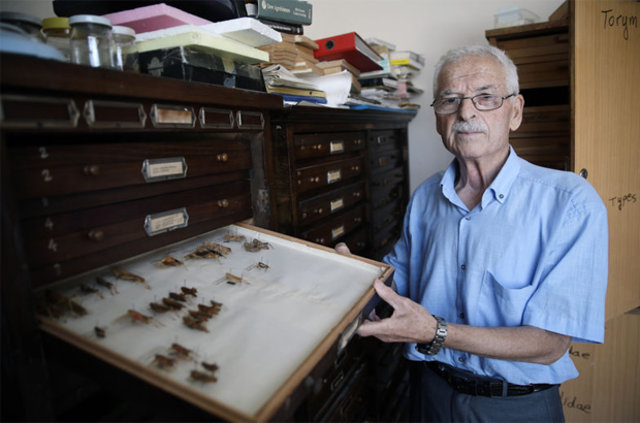 Emekli profesörün ilginç böcek koleksiyonu